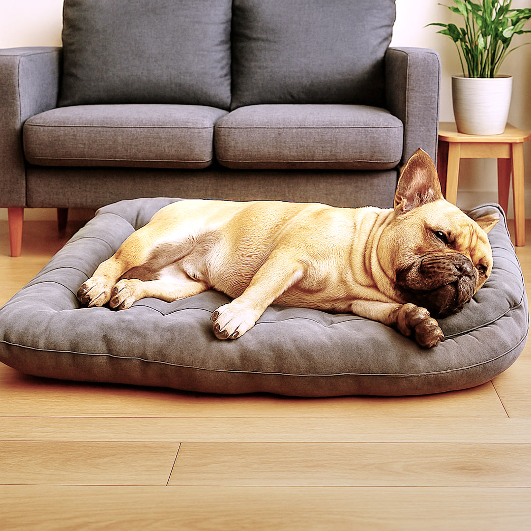 Cama Multifuncional Personalizable para Mascotas